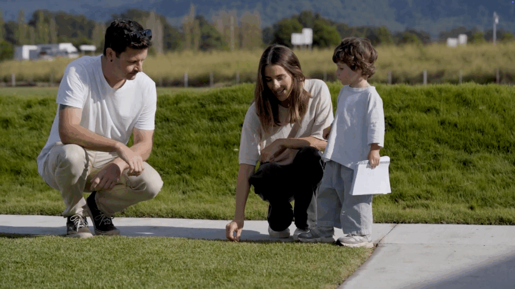 Family lawn
